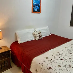 Casa Nueva Con 3 Recamaras Y A Un Lado De Alberca Apartamento